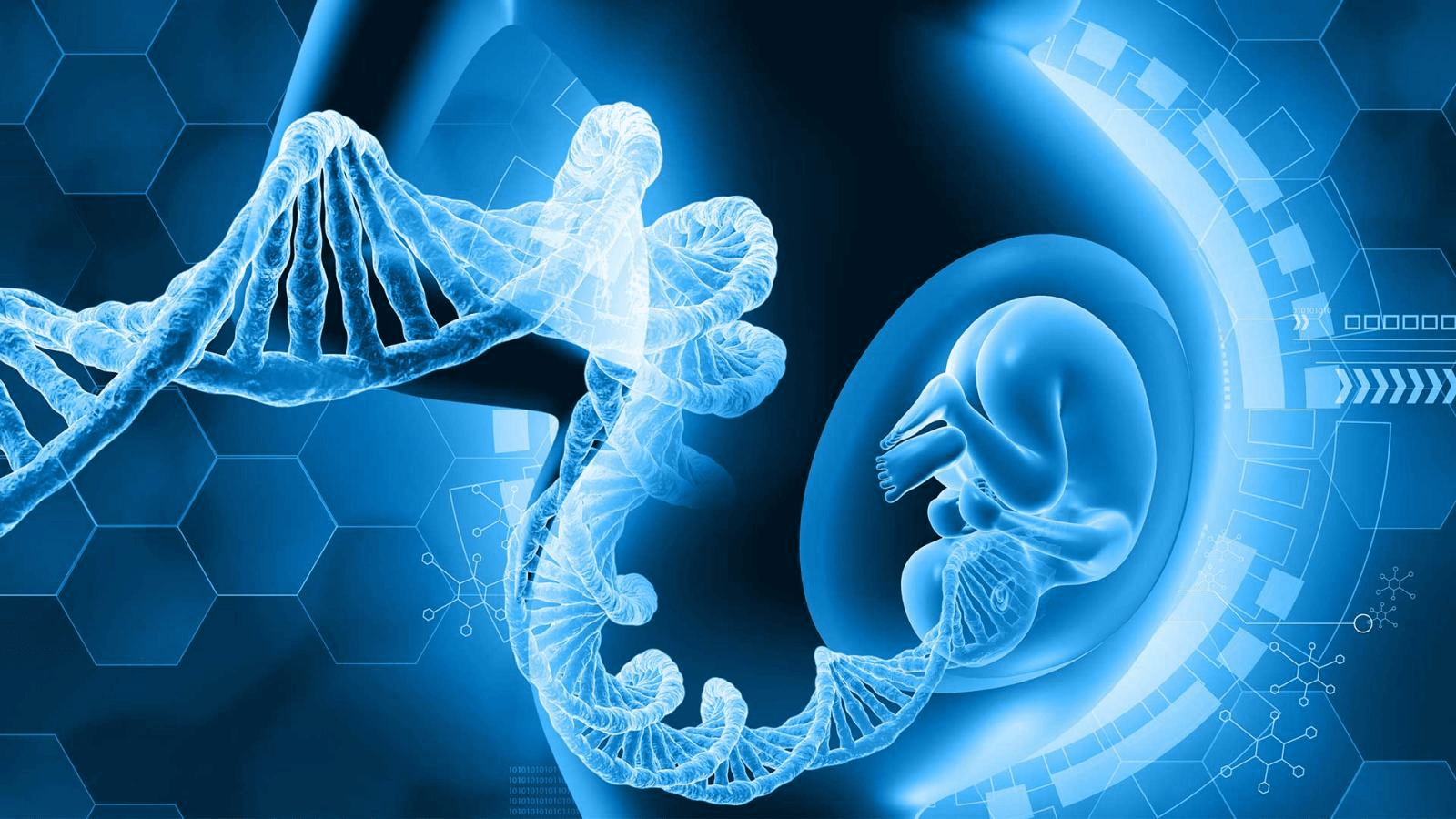 Genomic prediction: Start-up claims to produce dad and mother a method to decide on ‘fascinating’ traits like IQ. Will it work?